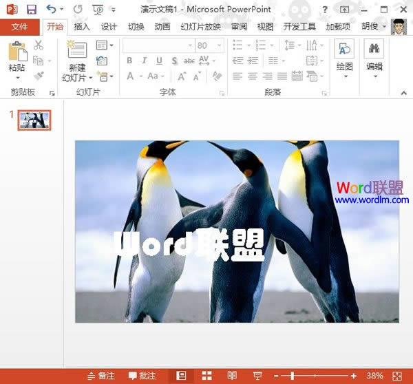 PowerPoint2013ıЧ