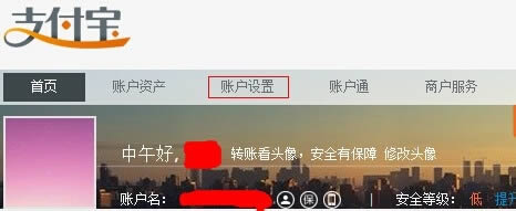 如何设置支付宝额度？_手机软件指南