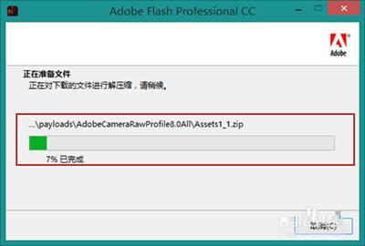 Adobe Flash Professional CC