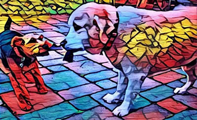 prisma