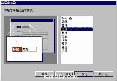 Access3.5 屏幕显示方式与打印报表样式