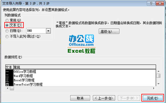 Excel2010ε.txtļ