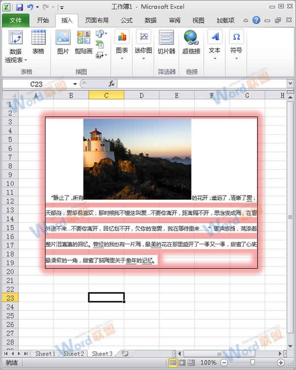 怎么把Word的内容以图片格式插入到Excel2010中？