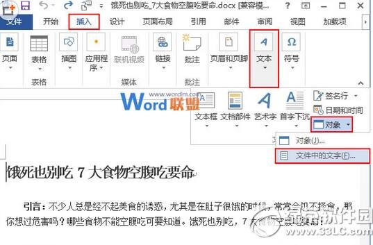 word2013ôϲĵ word2013ϲĵ