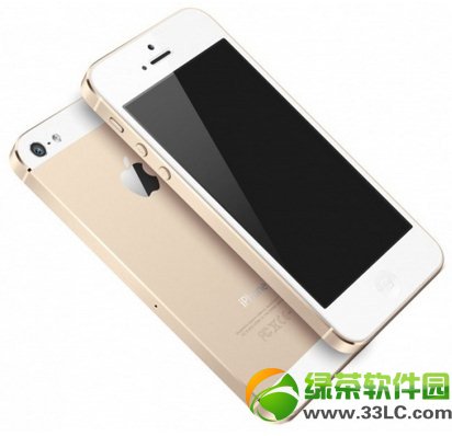 iPhone 5SƳɫ沢ָ֧2