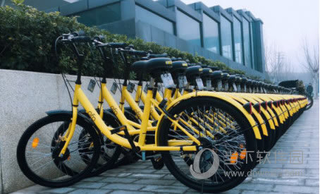 ofo