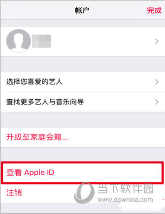 ѡ鿴 Apple ID