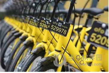 ofo