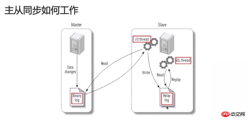 ϸmysqlͬԭԼӳ