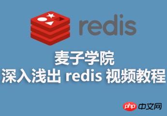 麦子学院深入浅出 redis 视频资料分享