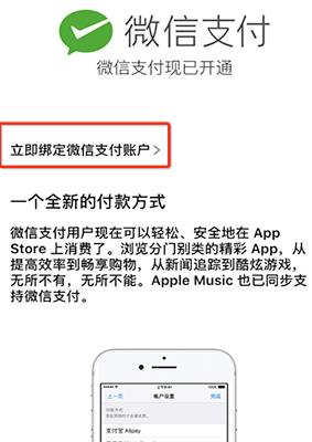 App Store΢֧ʽApp Store΢֧ʹý̳